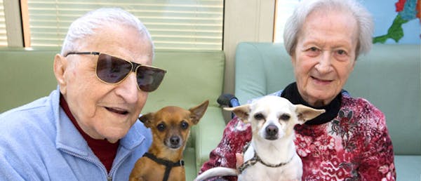 animali domestici nelle case di riposo, da oggi si può!